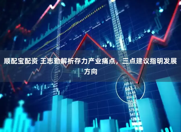 顺配宝配资 王志勤解析存力产业痛点，三点建议指明发展方向