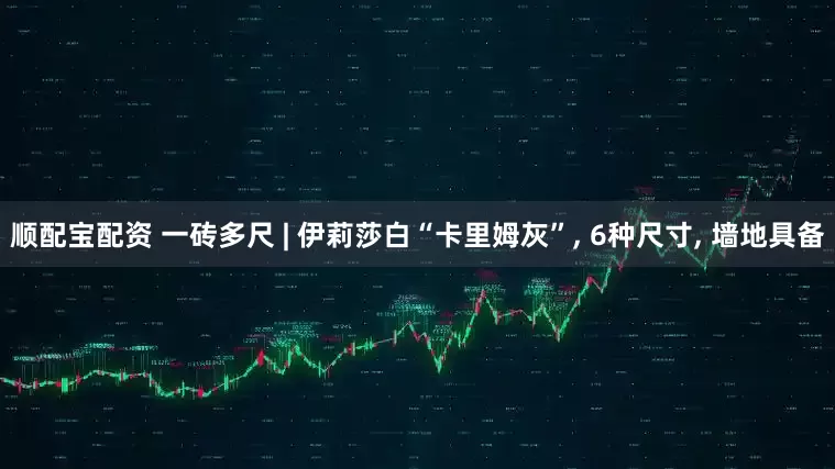 顺配宝配资 一砖多尺 | 伊莉莎白“卡里姆灰”, 6种尺寸, 墙地具备
