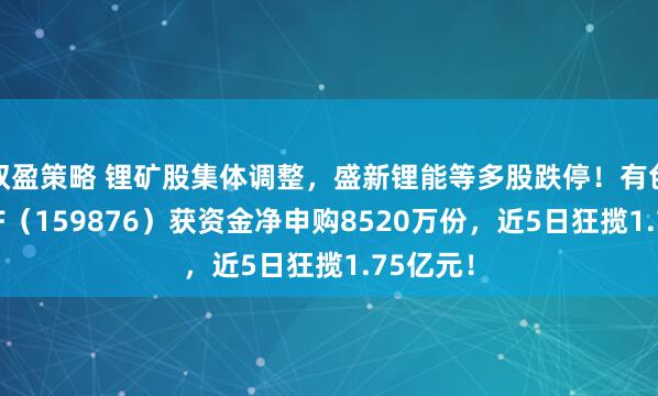 双盈策略 锂矿股集体调整，盛新锂能等多股跌停！有色龙头ETF（159876）获资金净申购8520万份，近5日狂揽1.75亿元！