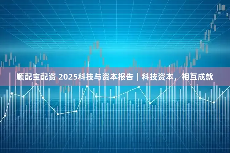 顺配宝配资 2025科技与资本报告|科技资本,相互成就
